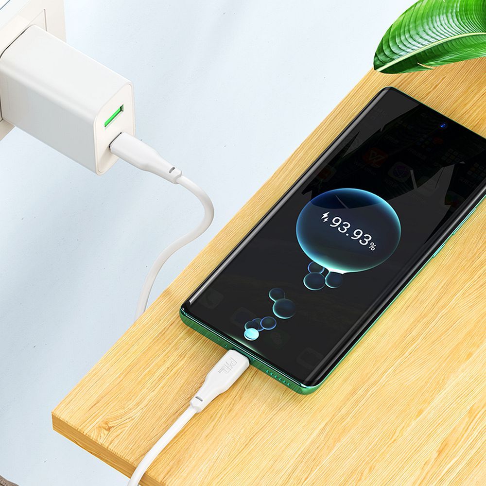 Cablu date și încărcare USB-C la USB-C, 3A, 100W, 2m, Hoco X93, alb