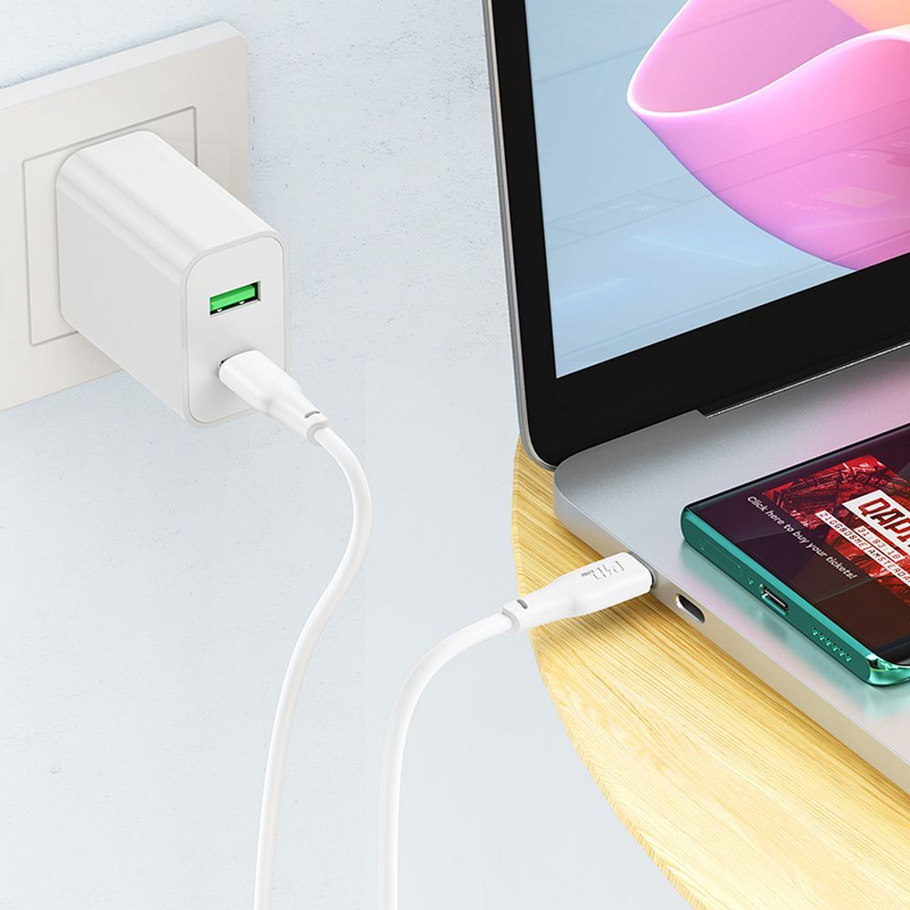Cablu date și încărcare USB-C la USB-C, 3A, 100W, 2m, Hoco X93, alb