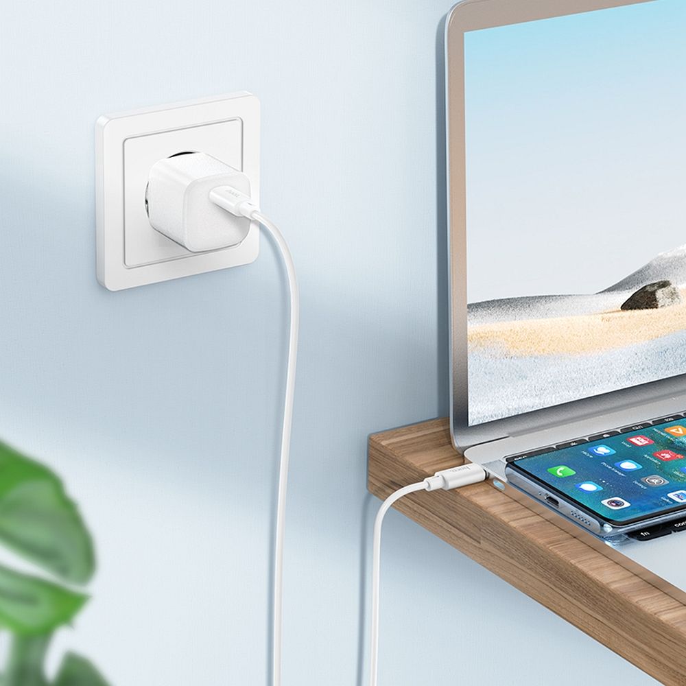 Cablu date și încărcare USB-C la USB-C, 3A, 60W, 1m, Hoco X88, alb